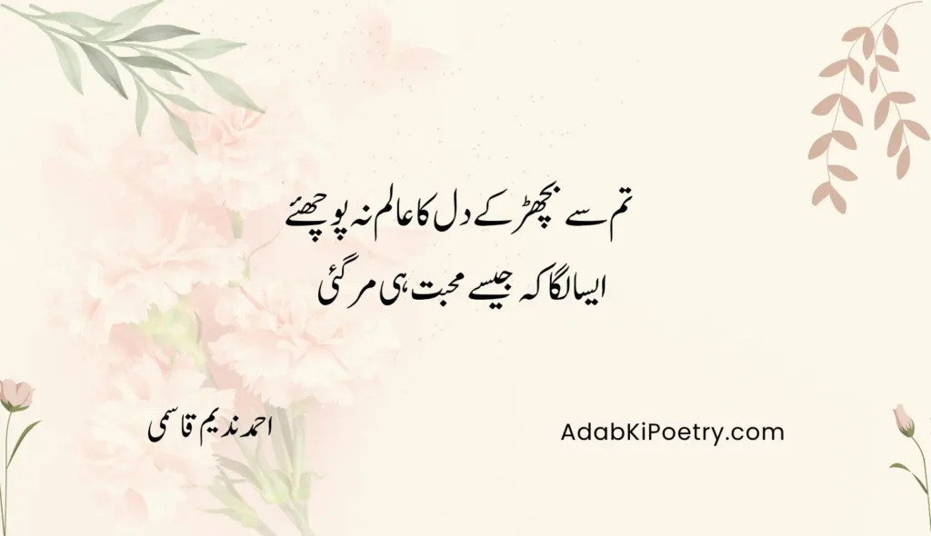 deep love poetry in urdu copy paste