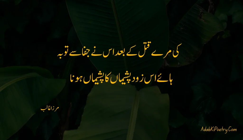 Sad Poetry in Urdu