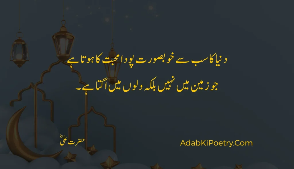 hazrat ali quotes in urdu text copy paste