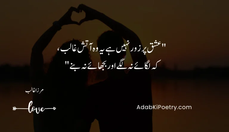 Love Quotes In Urdu