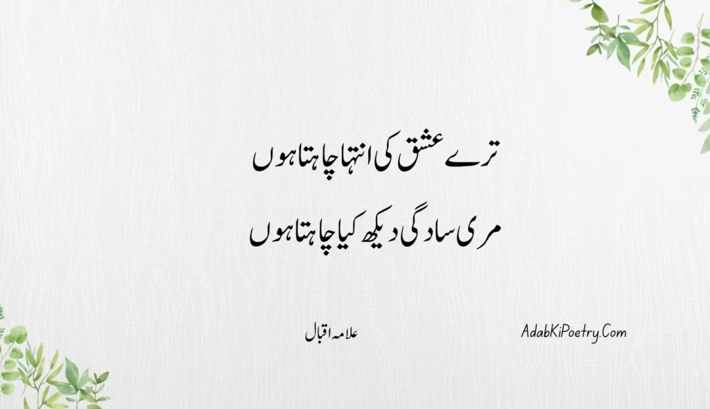 romantic poetry in urdu 2 lines