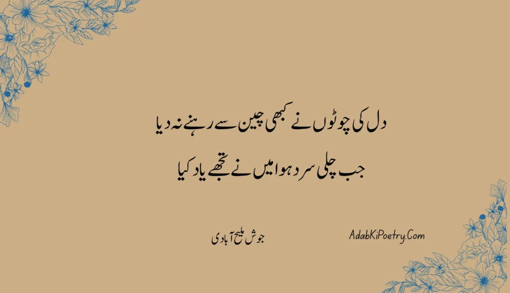 دل کی چوٹوں نے کبھی چین سے رہنے نہ دیا
جب چلی سرد ہوا میں نے تجھے یاد کیا