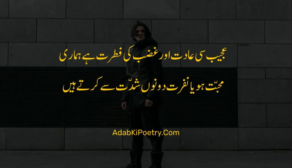 attitude poetry in urdu

