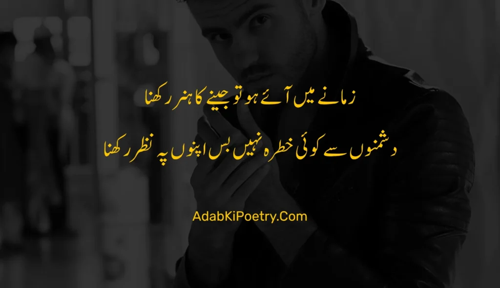 Attitude Poetry In Urdu