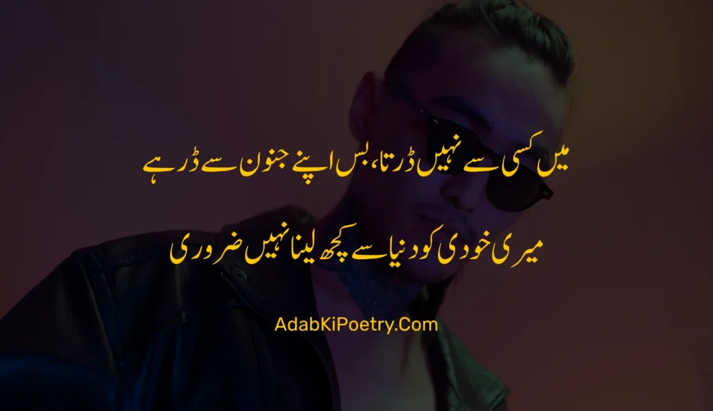 cool attitude poetry urdu

