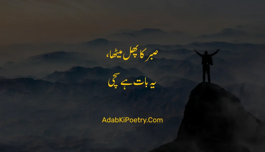 quotes in urdu about life reality
